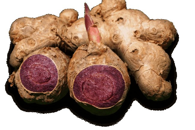 Ginger extract