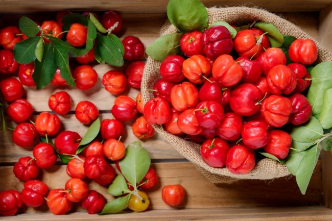 Acerola