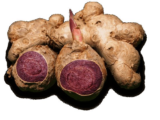 Ginger extract